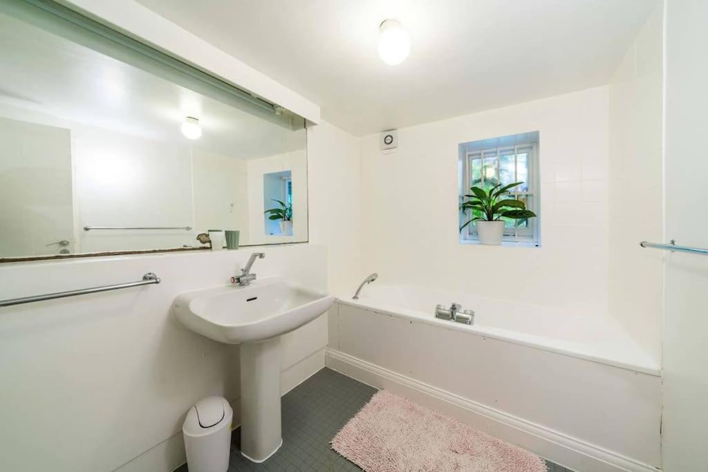 Spacious 2 Bed Garden Flat By The Thames+parking Lägenhet *