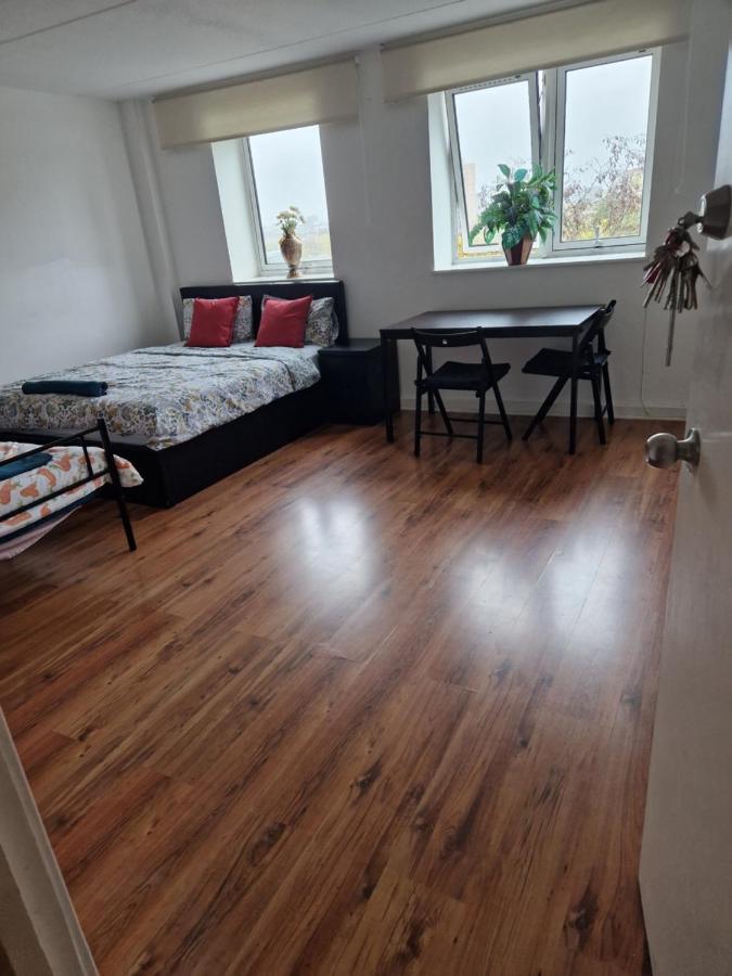 Homestay Twin Bed For Guests