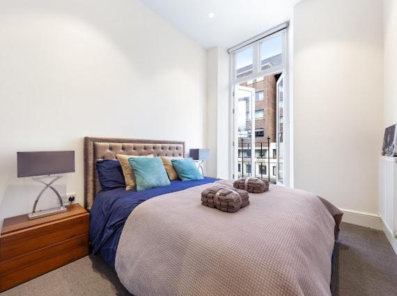 Harley Street Luxury Snug Lägenhet London