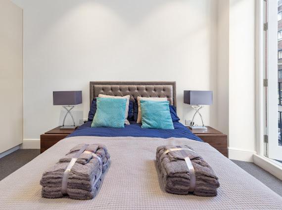 Harley Street Luxury Snug Lägenhet *