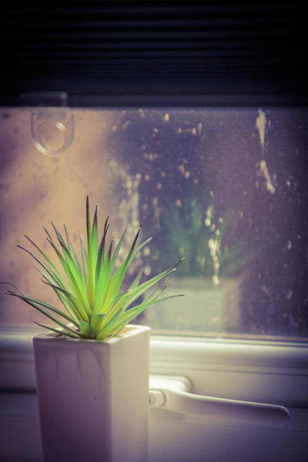 Warren Appartement