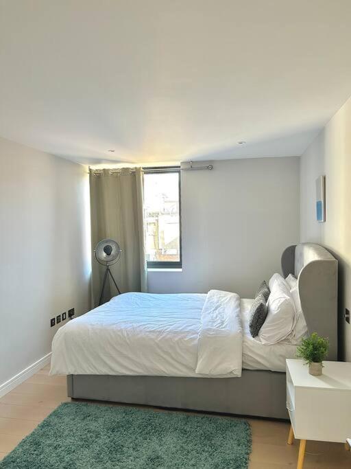 Spacious 2br With Terrance Appartement