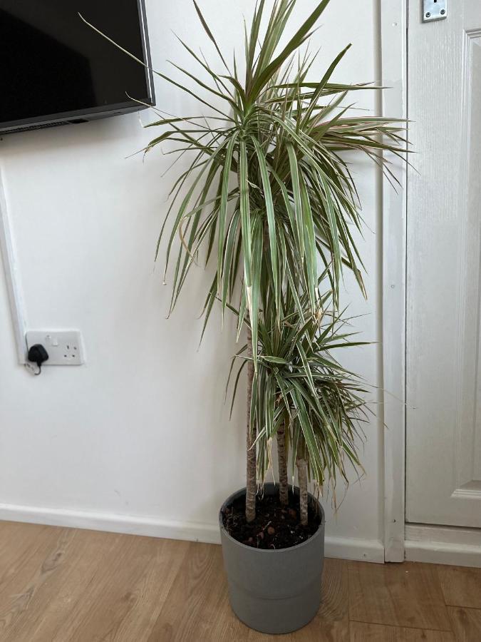Self-contained En-suite Very Close To Wembley Stadium Pensionat *