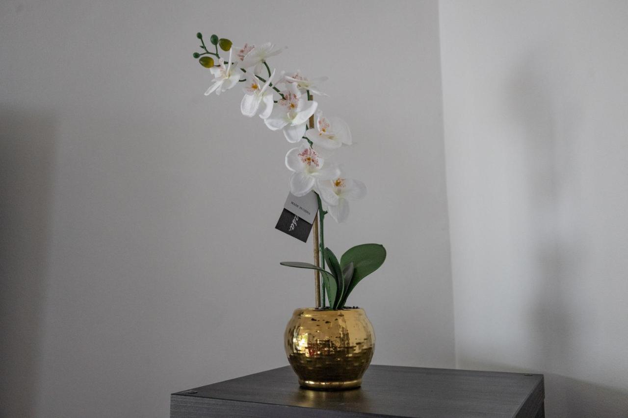 - 4 Bed - Sleeps 8 - Garden - Pet Friendly Semesterbostad London