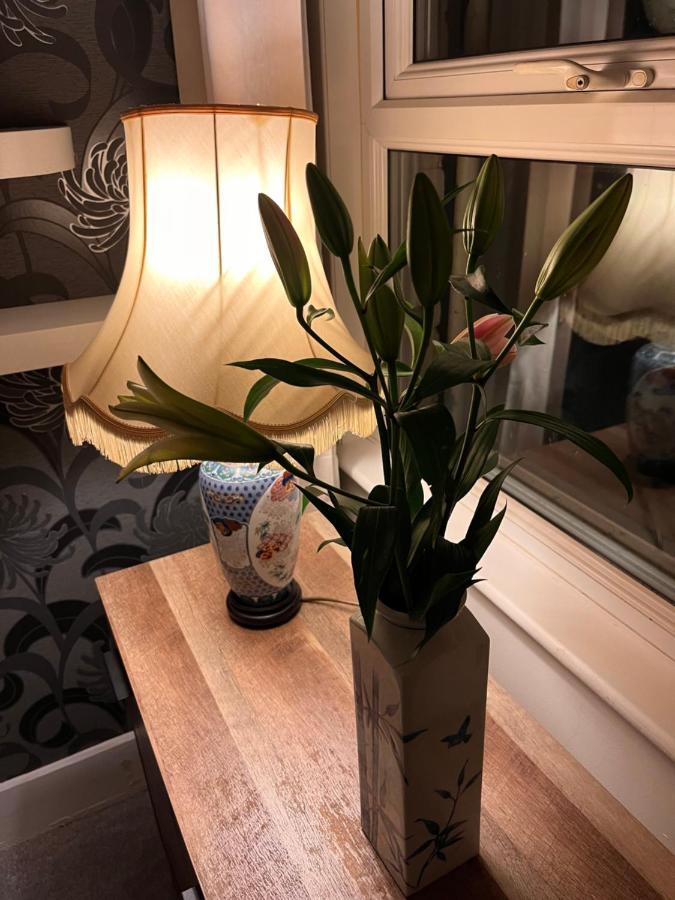 Gæstehus Luxury Cosy Retreat London