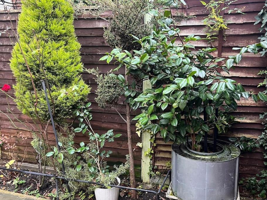 Apartment Stunning 2 Bedroom Duplex In The Heart Of London