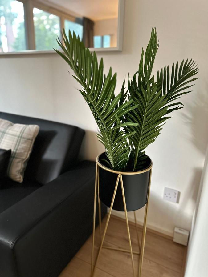 Apartment Cosy Central London