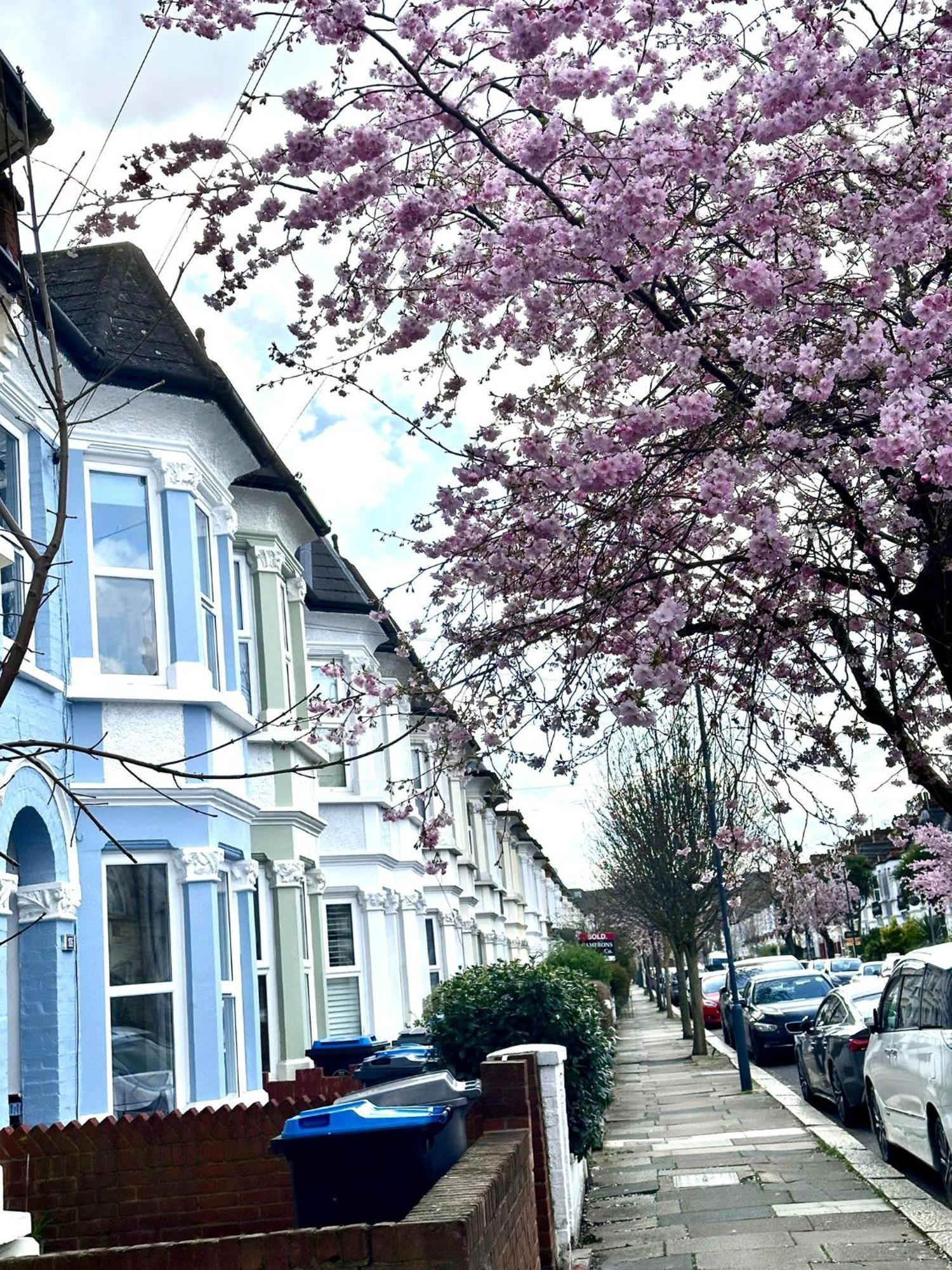 Charming, Renovated In Willesden Holiday home