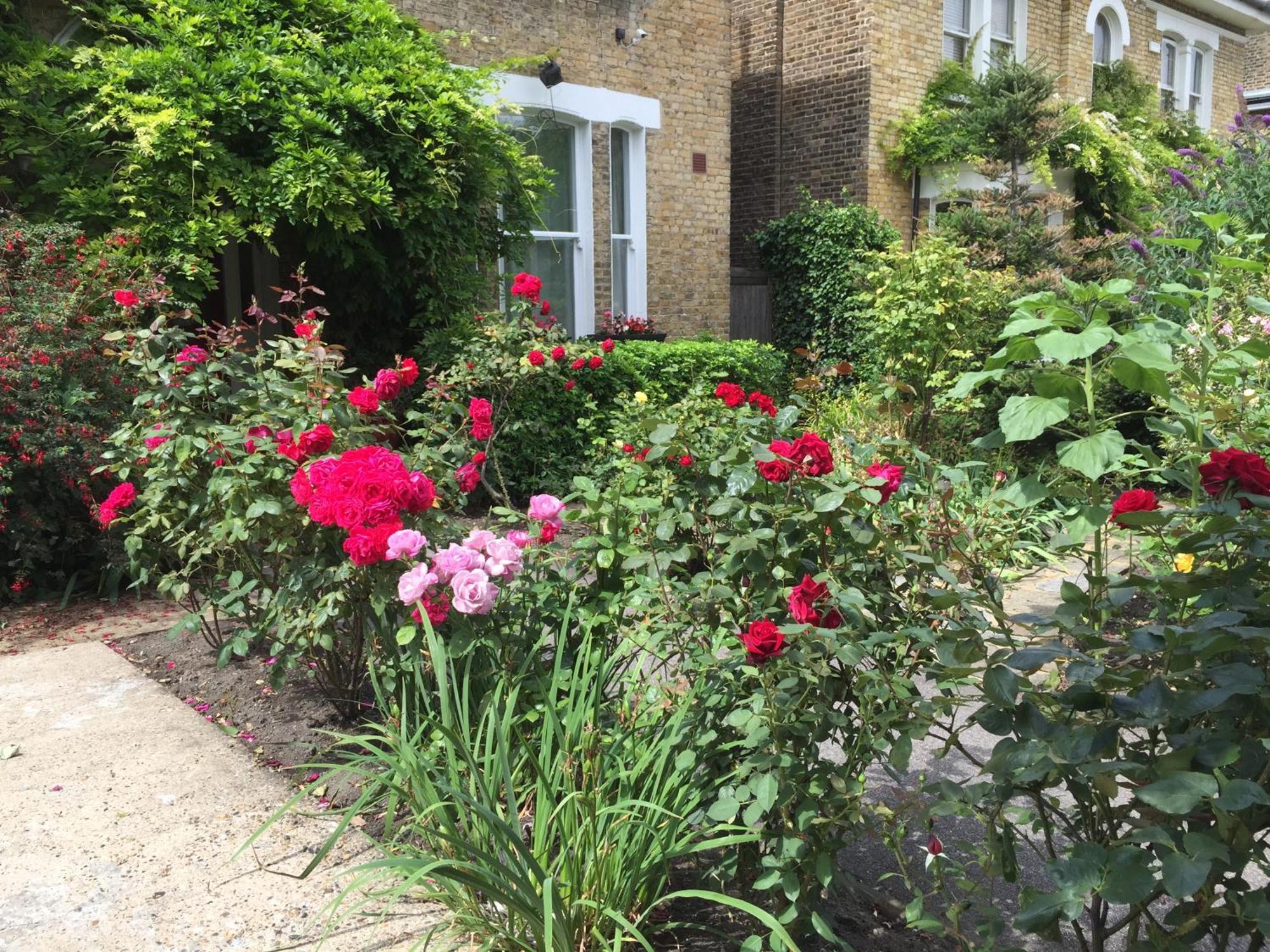Maison d'hôtes St. James's Londres