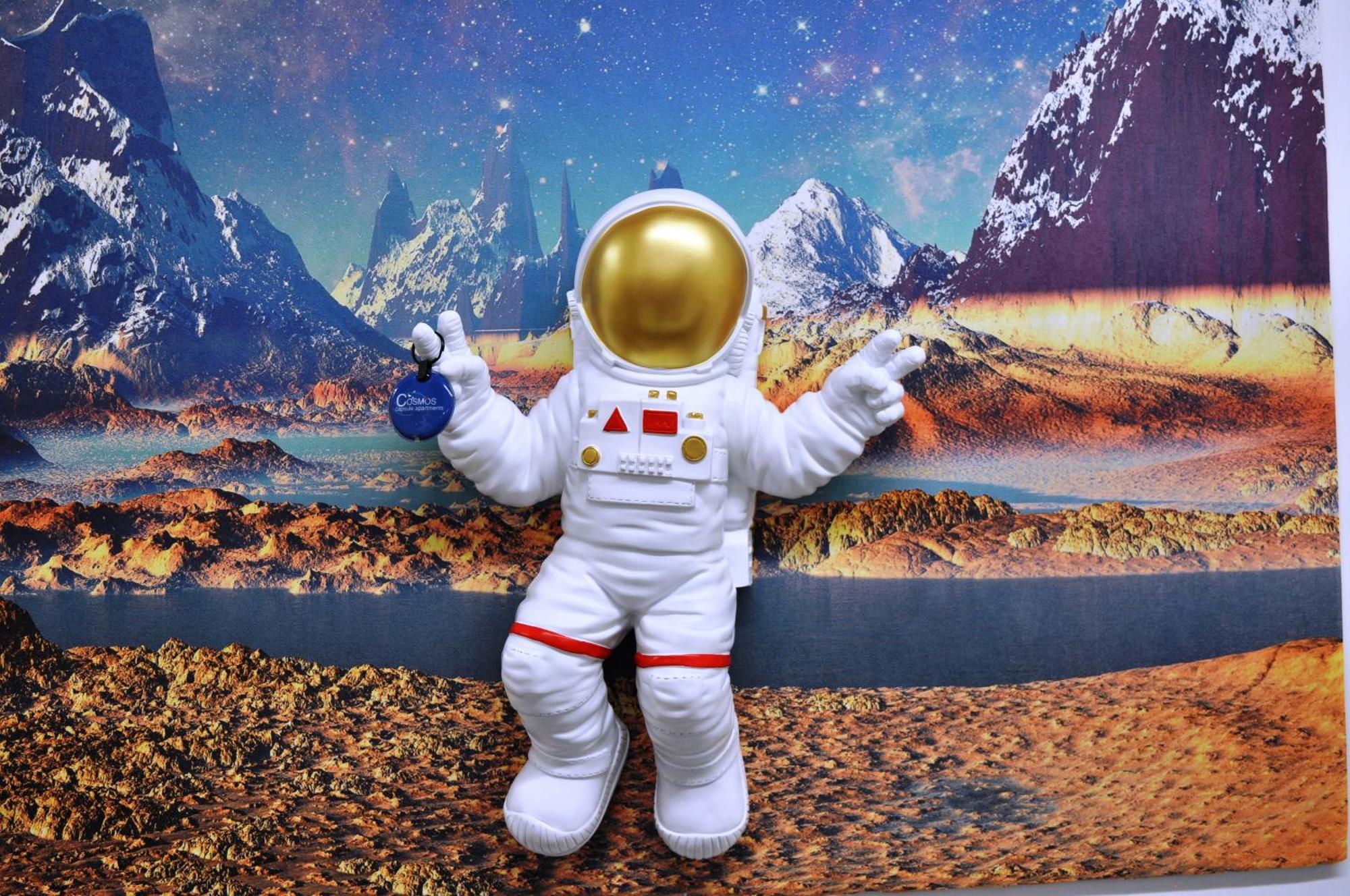 Cosmos Capsule Coworking