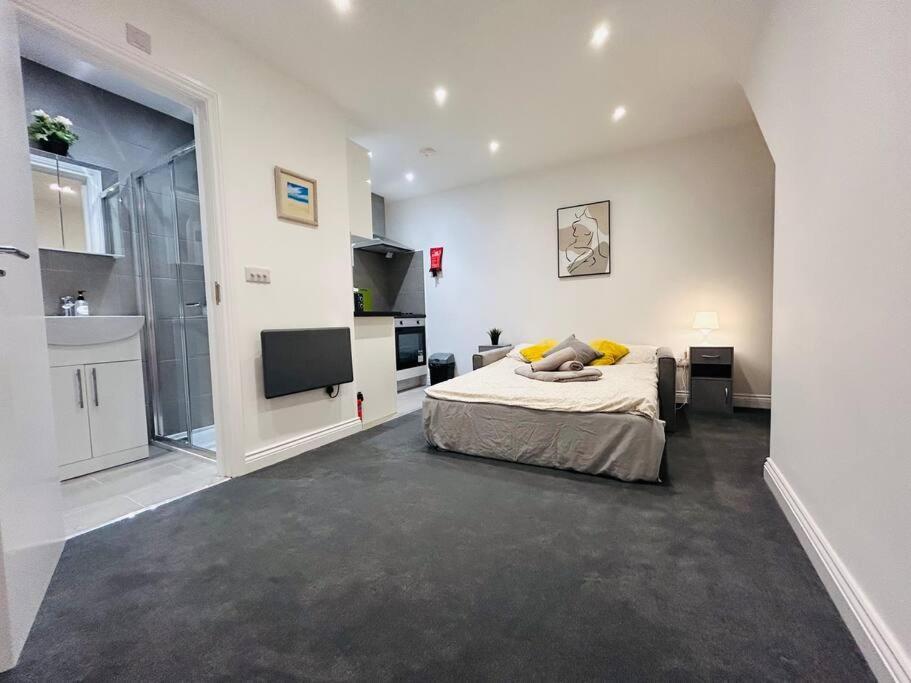 Apartment Cosy Studio Near Emirates Stadium London
