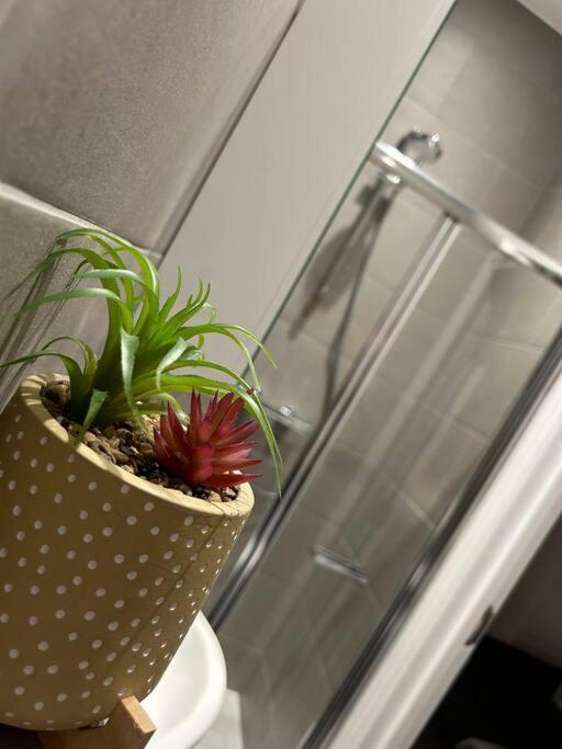 City Studio Escape Near Emirates Londen
