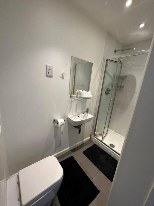Sleep 6 Piccadilly Grand In Vr5 Londen