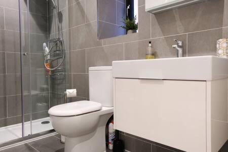 Apartment Modern One Bedroom In Ealing Common