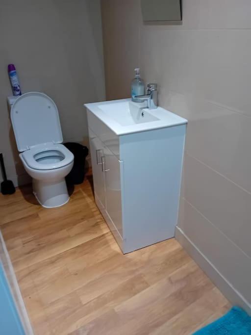 Cosy Tower Bridge Hideaway - Ground Floor Lejlighed London