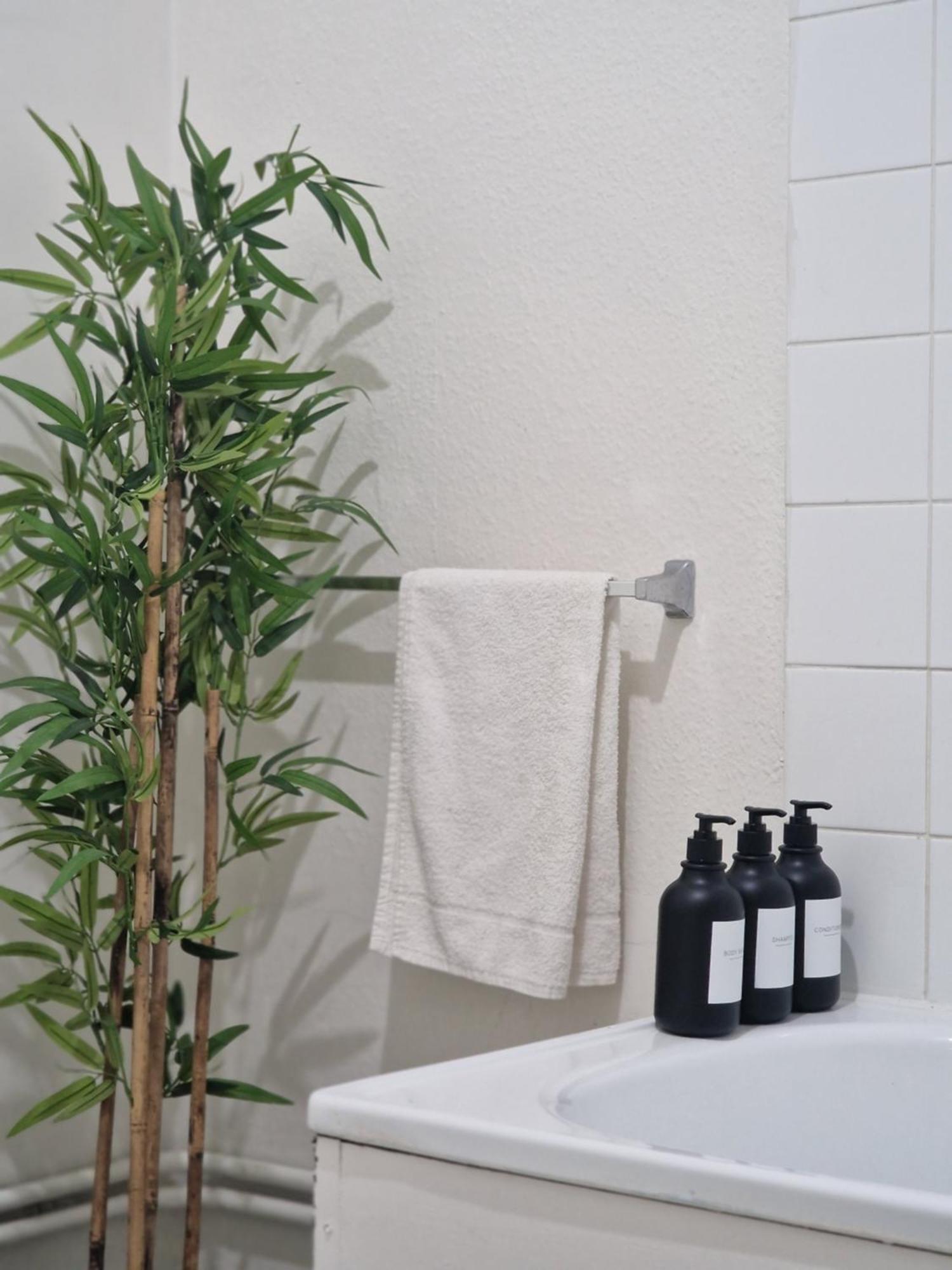 Location Appartement *