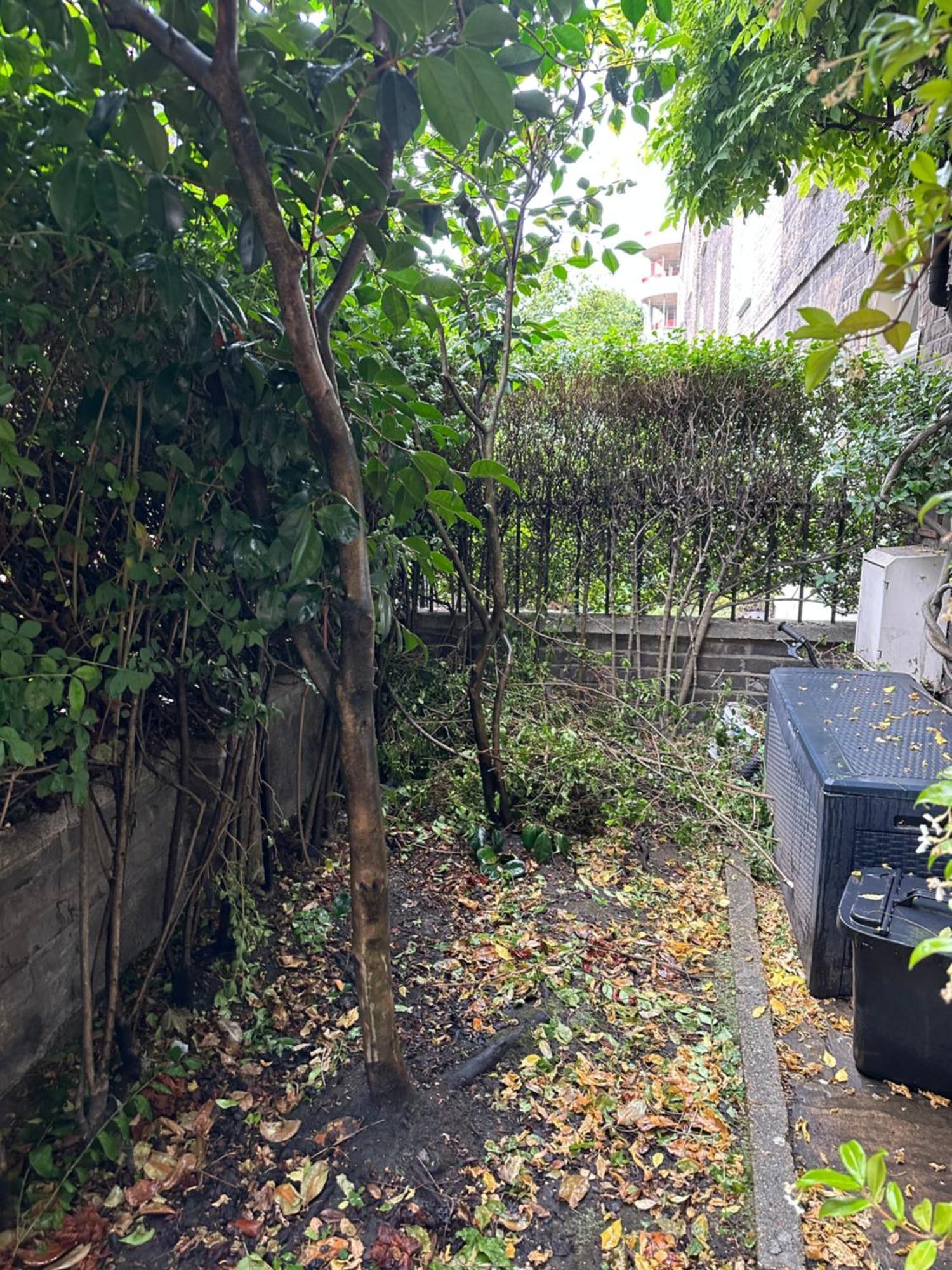 Fairytale Belgravia House - 2 Beds 2 Baths 4 People *