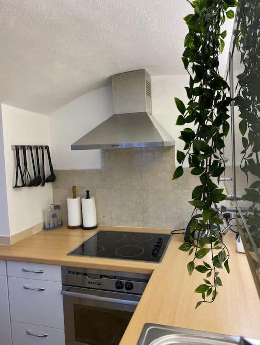 Spacious Flat In The Desirable Area Of Leilighet London