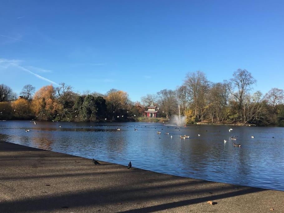 Victoria Park 1 Bedroom Flat Leilighet *