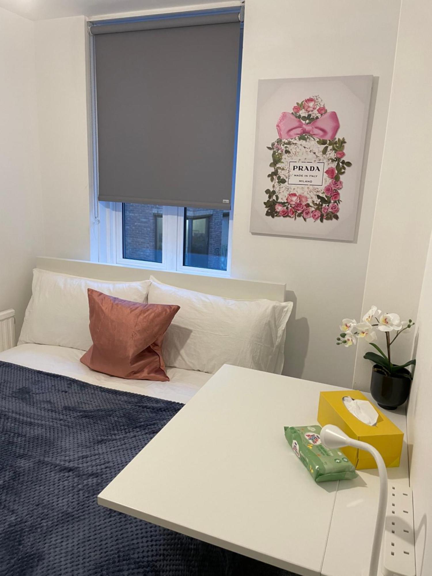 Lovely Double In Euston & Square In Privat overnatting *