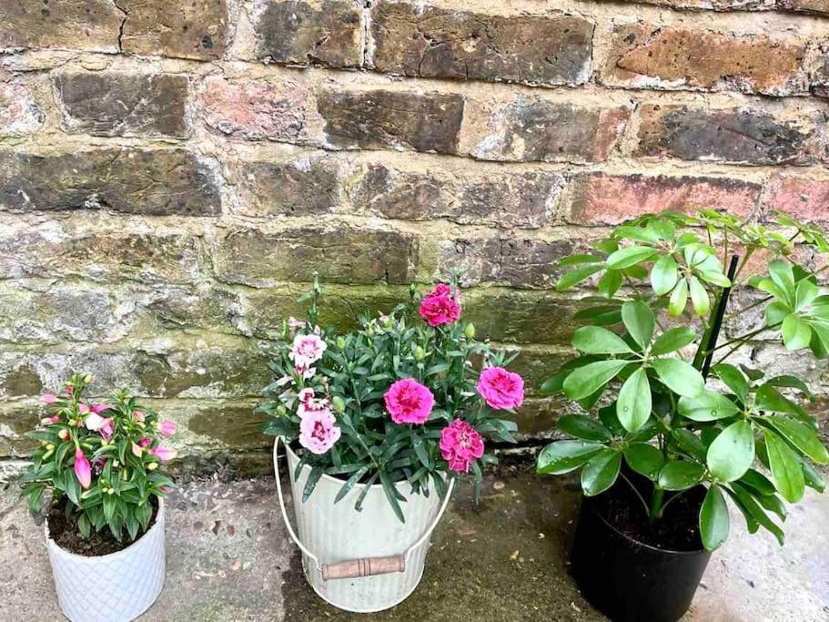 A Ground Floor Flat With Garden Apartment