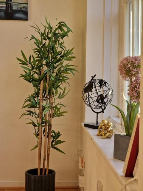 Location Appartement