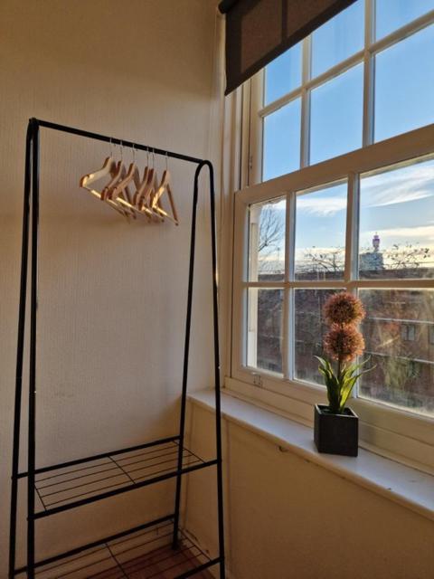 Location Appartement