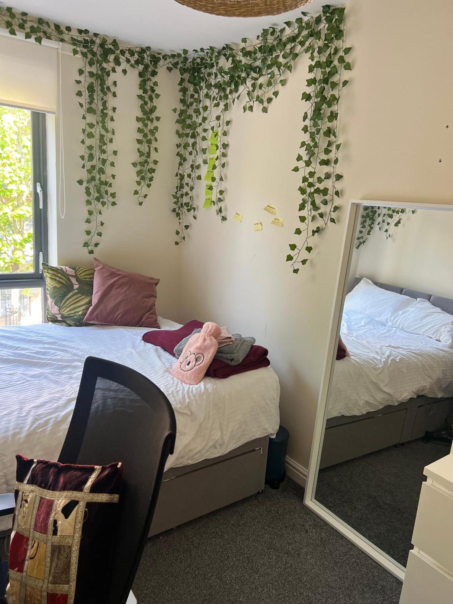 Accommodatie bij particulieren Blackberry Court *
