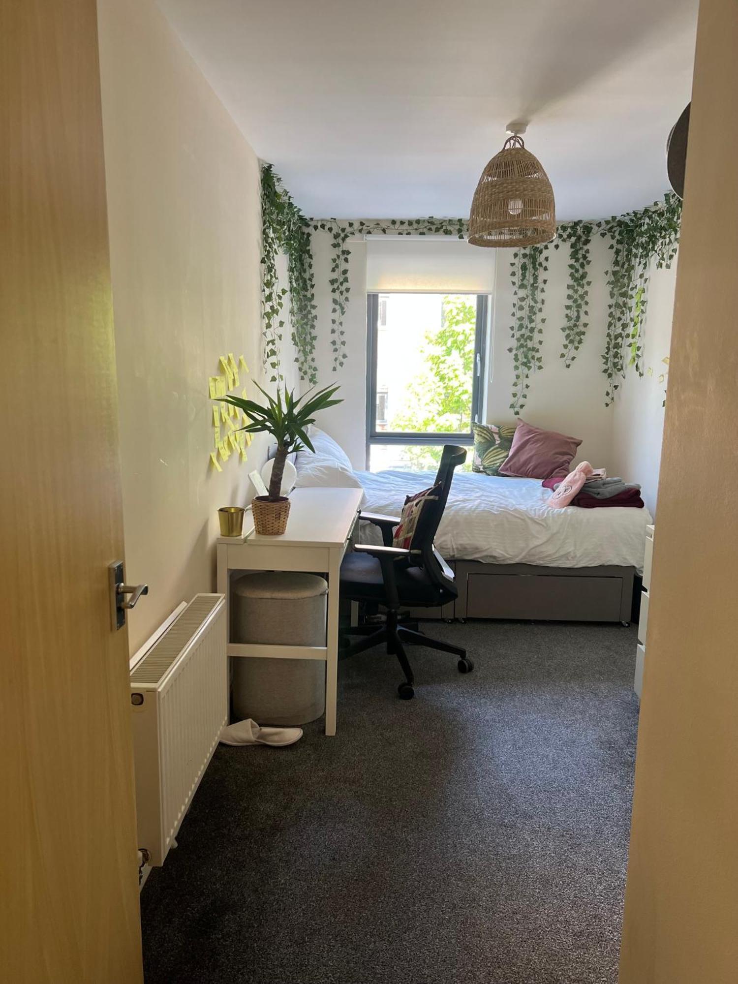 Accommodatie bij particulieren Blackberry Court *