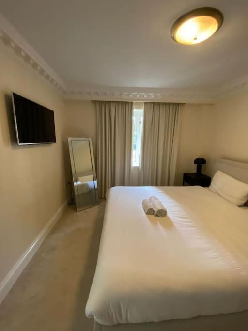 Newly Refurbished Apartment, Near Station & River Appartement Londen