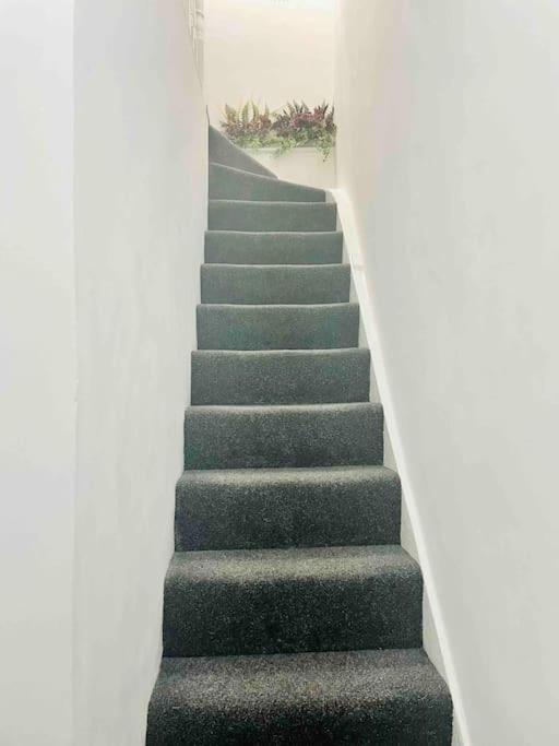 Lägenhet Lovely 1 Bedroom Flat+living With A Sofa Bed London
