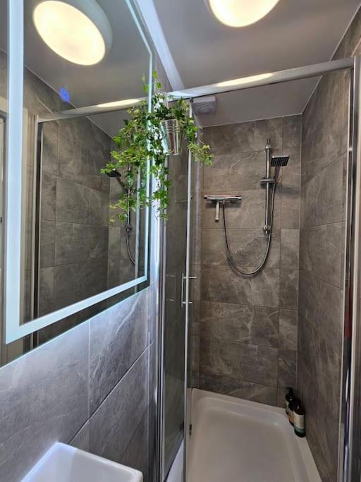 Lejlighed Stylish Putney Village Flat London