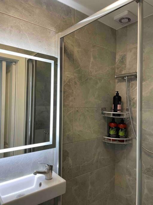 Appartement One Bedroom Putney Village Flat Londen