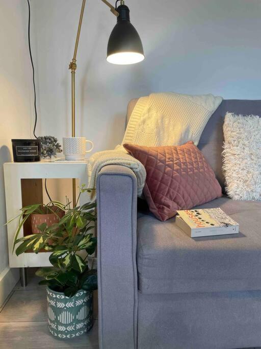 Apartment One Bedroom Putney Village Flat