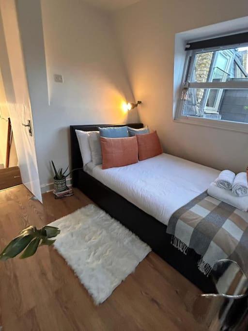 Charming Fulham Flat Appartamento