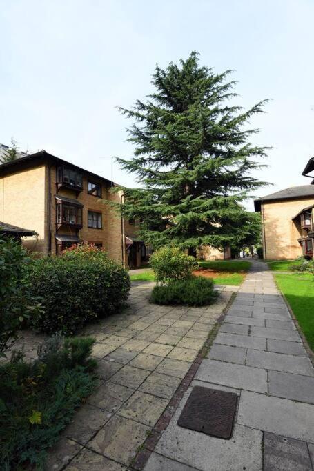 Spacious Walthamstow London