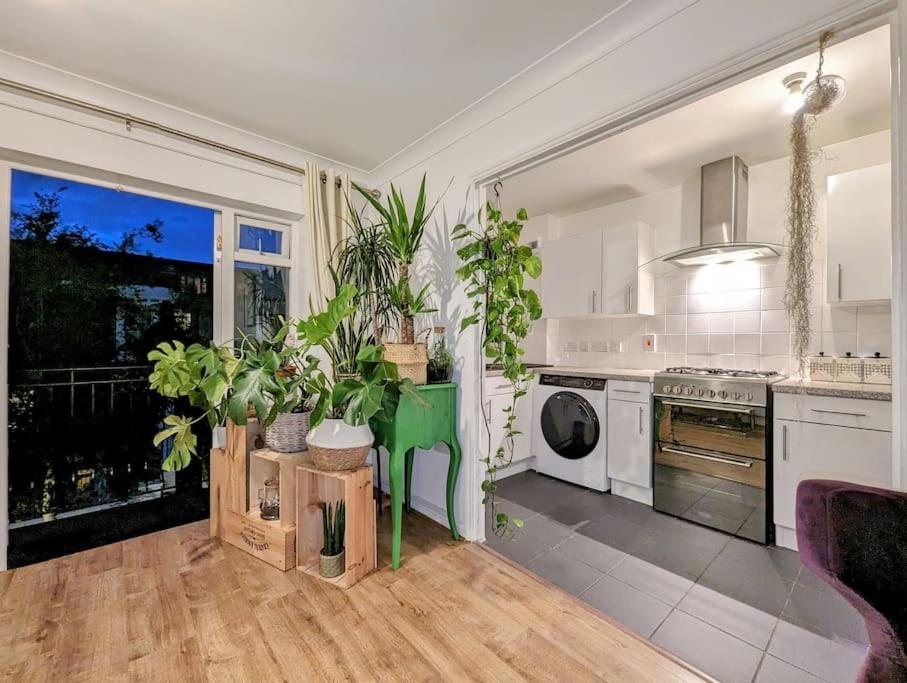 Large, Plant Filled Flat With Balcony Lägenhet London