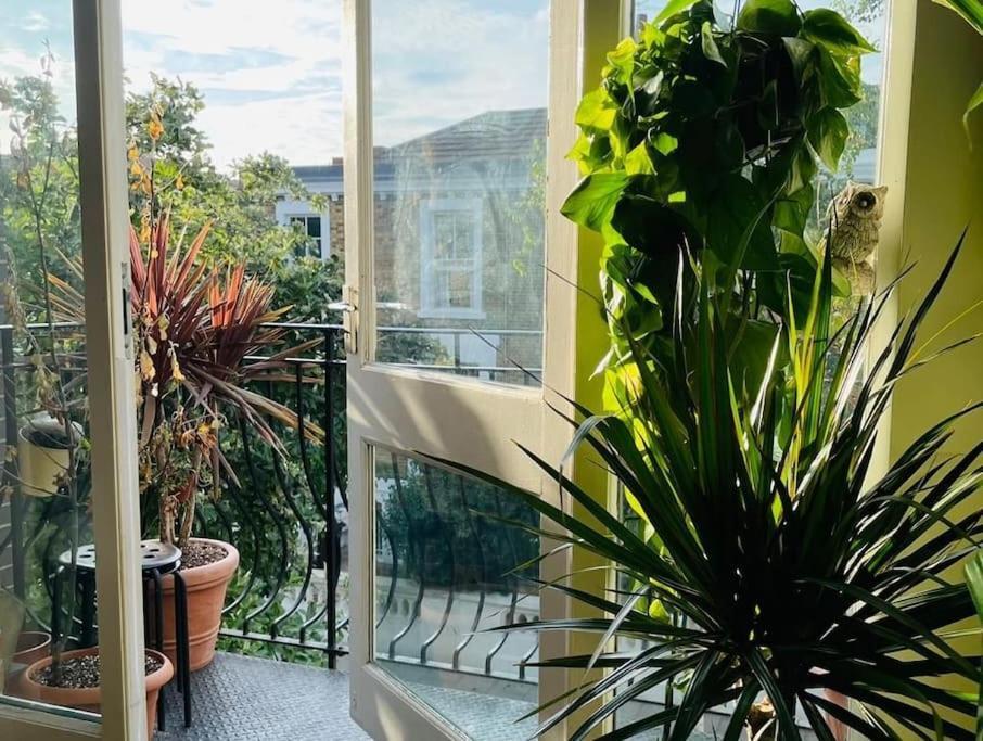 Large, Plant Filled Flat With Balcony Lägenhet