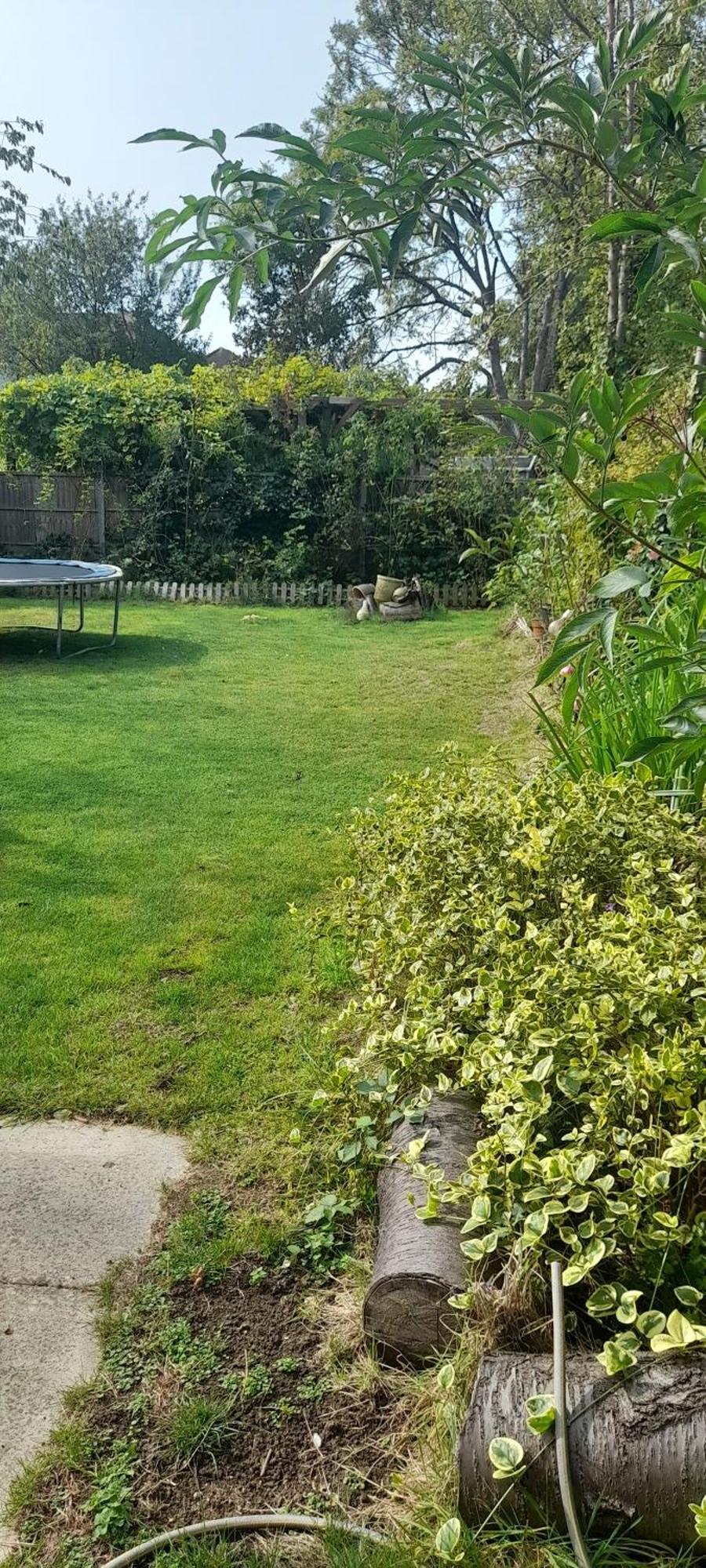 Private Extension With Bathroom And Kitchen * London
