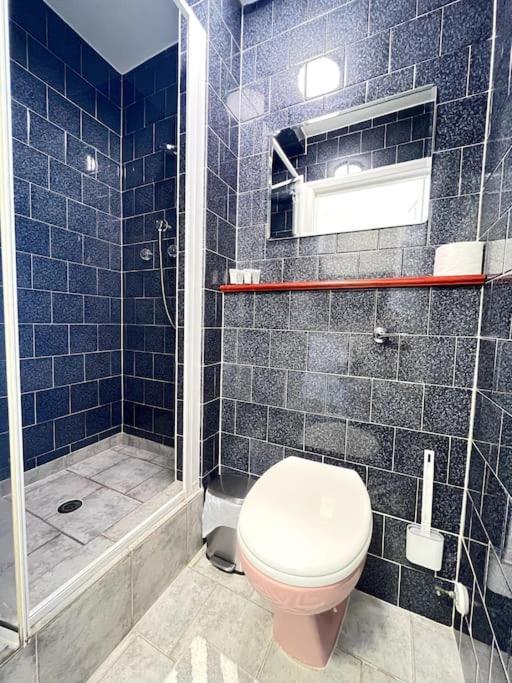Stylish Ground Floor Garden Flat Nr Leilighet London