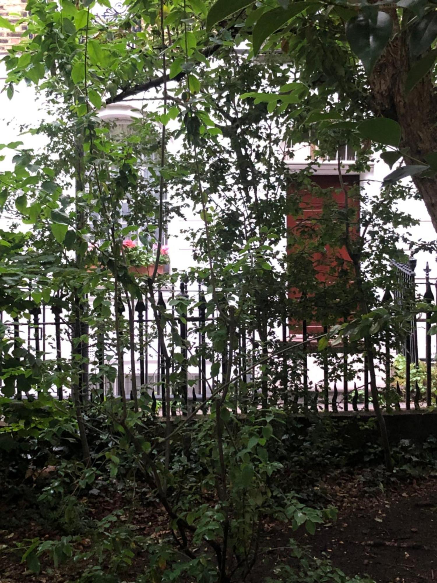 Gorgeous Grade Ii Listed Georgian House - Leafy Square Views - Holiday home London