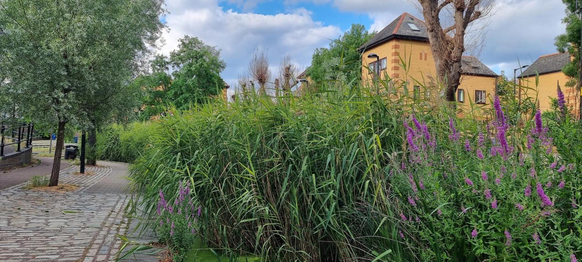 Two Stunning Bedrooms & Private Balcony & River View *