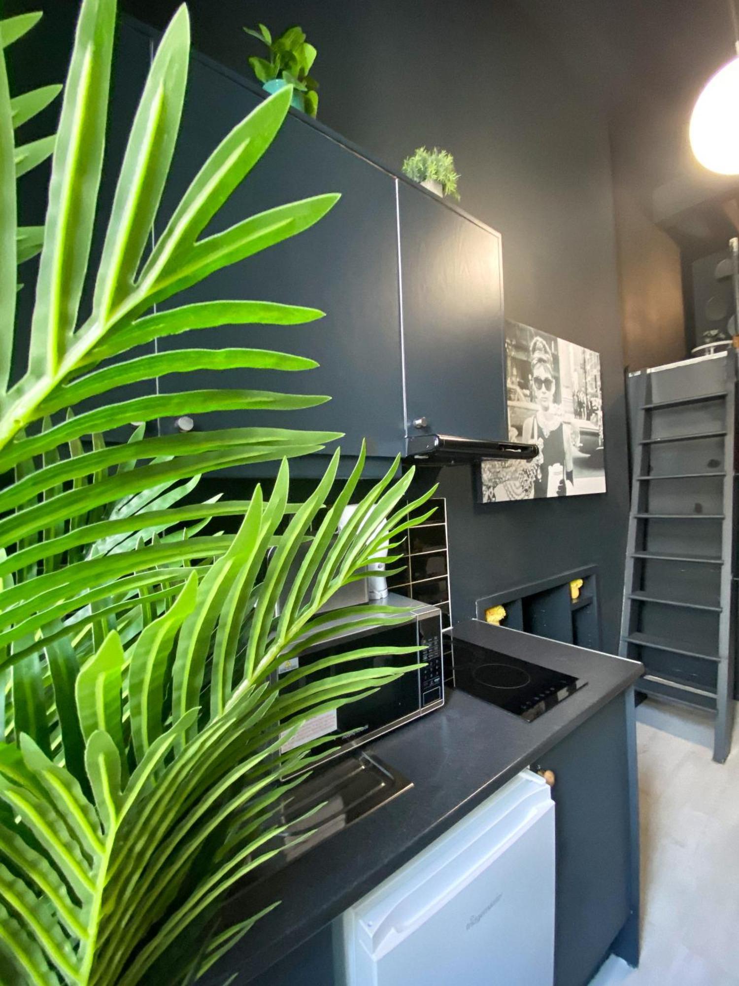 Modern Close To Hyde Park Londra