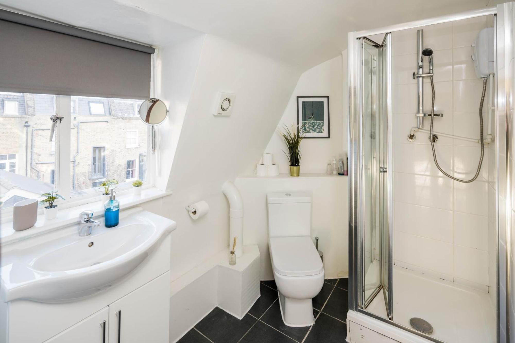 Apartment Bright Fitzrovia