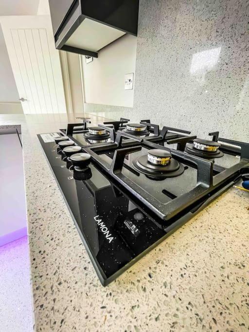 Luxury Apartment