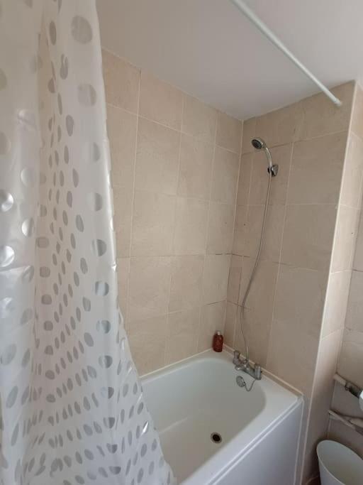 Apartment Spacious 3 Bed Flat Opp Springfield Park, Hackney.