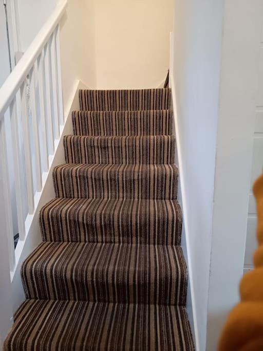 Spacious 3 Bed Flat Opp Springfield Park, Hackney. * London