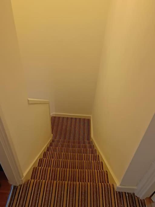 Spacious 3 Bed Flat Opp Springfield Park, Hackney. Lägenhet London