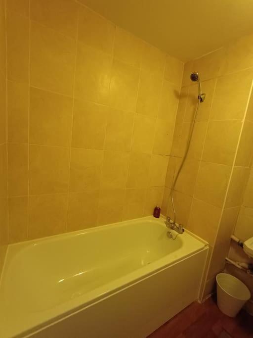 Lägenhet Spacious 3 Bed Flat Opp Springfield Park, Hackney. London