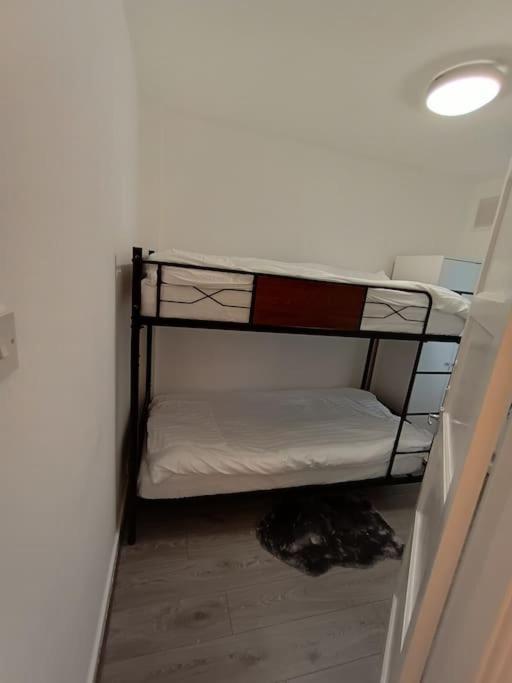 Lägenhet Spacious 3 Bed Flat Opp Springfield Park, Hackney. *